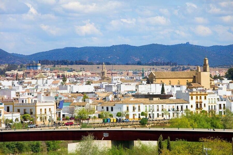 Cordoba : Patios Private Walking Tour - Why Córdoba’s patios are worth a timed walk