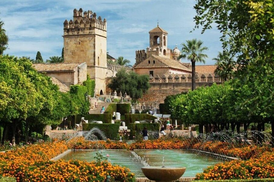 Cordoba : Patios Private Walking Tour - Meeting point: C. Isabel Losa, 8 and how to prepare
