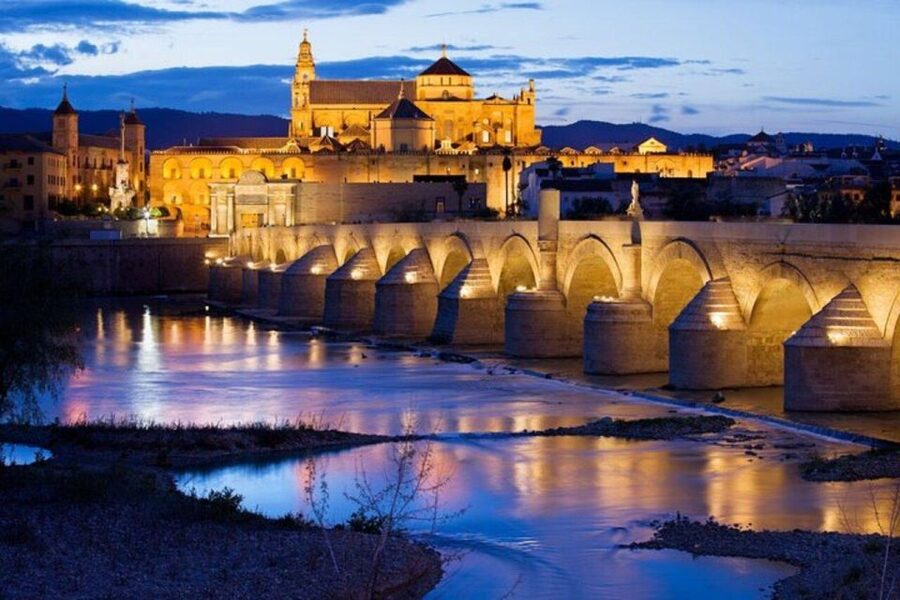 Cordoba : Patios Private Walking Tour - What you’ll learn about patio plants and the tradition