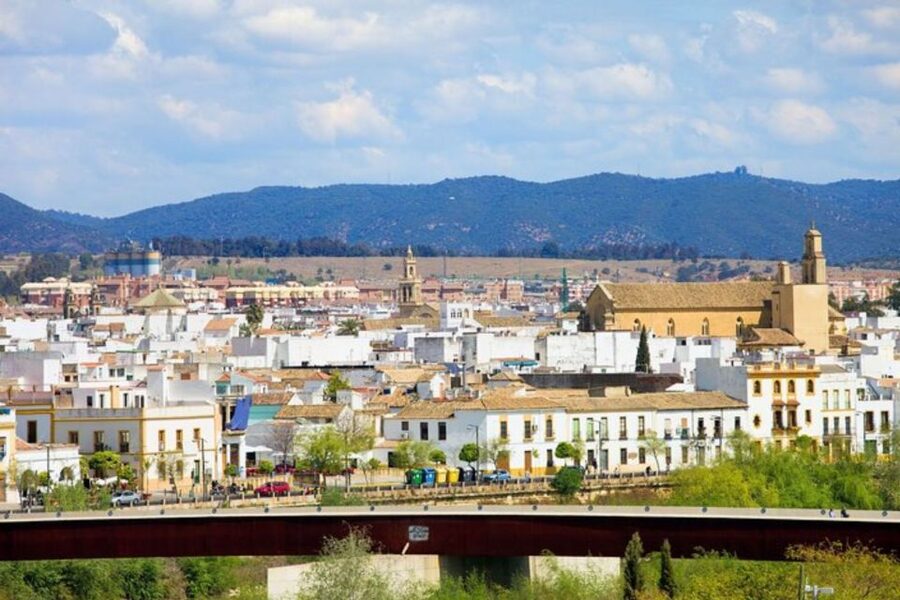 Cordoba: Private custom tour with a local guide - Photo stops and “sightseeing by foot” that still feels efficient