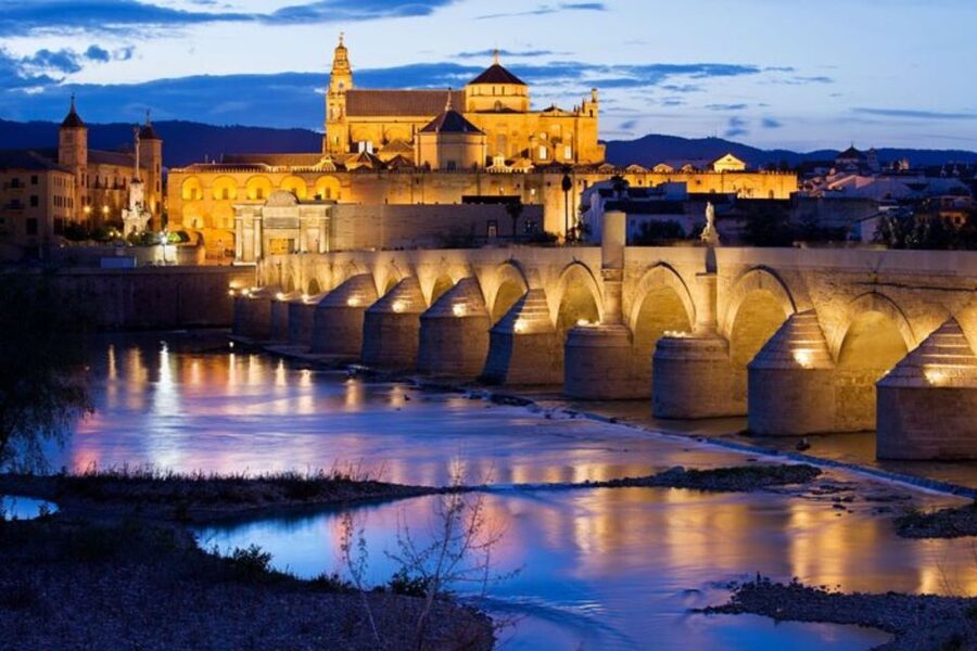 Cordoba: Private custom tour with a local guide - Who this tour suits best