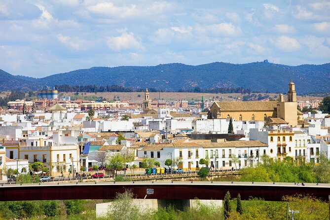 Cordoba Private Custom Walking Tour With A Guide (Private Tour) - La Judería: Streets of the Jewish Quarter Near the Mezquita-Catedral