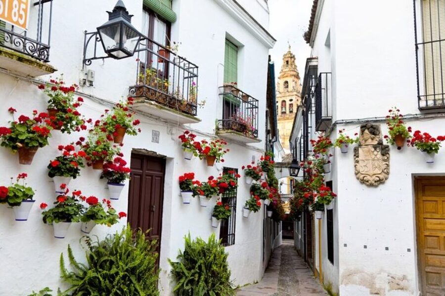 Córdoba: Private Mosque-Cathedral and City Tour - La Judería walk: why narrow streets need a guide