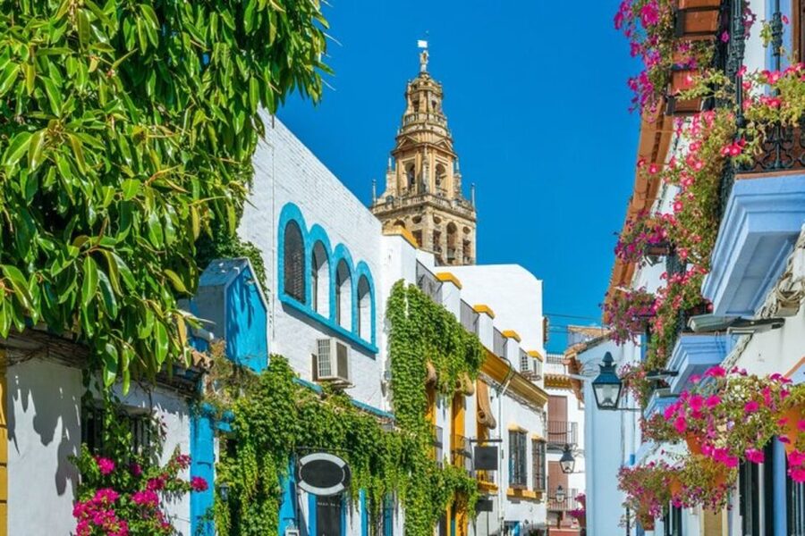 Córdoba: Private Mosque-Cathedral and City Tour - Value check: is $141 per person worth it?