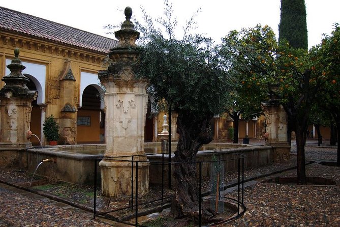 Cordoba Relax Tour in English Tickets included - San Bartolomé to Hospital del Cardenal Salazar: When Old Buildings Still Do New Work