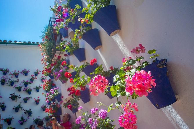Cordoba's Authentic Patios: 2-Hour Tour with Tickets - Why Cordoba patios matter more than pretty flowers