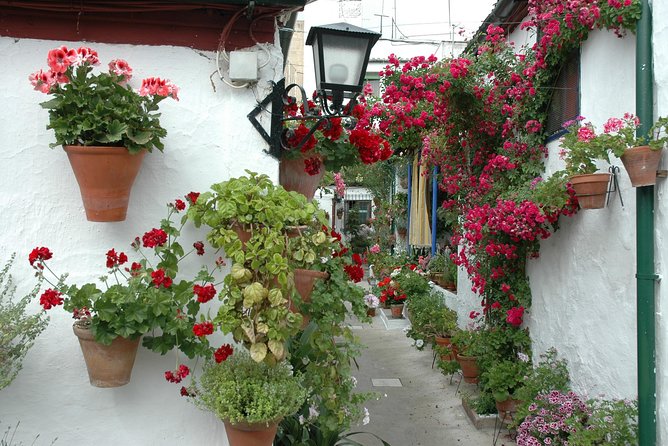 Cordoba's Authentic Patios: 2-Hour Tour with Tickets - Stop 1: Patios de Cordoba and the owner-led tour vibe