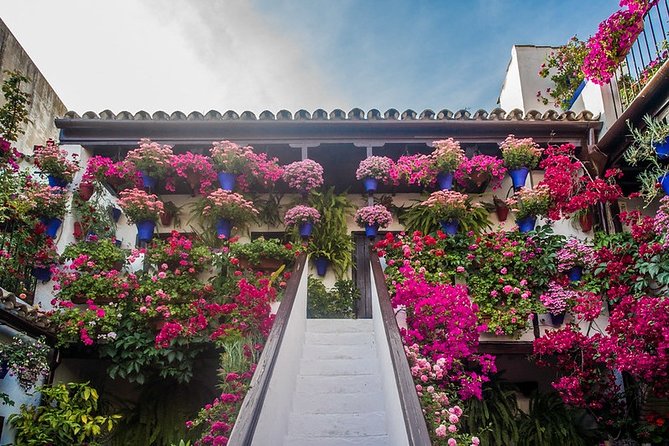 Cordoba's Authentic Patios: 2-Hour Tour with Tickets - Your guide is the difference maker (and names you might hear)