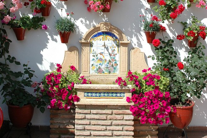 Cordoba's Authentic Patios: 2-Hour Tour with Tickets - When to go: late day shade beats midday heat