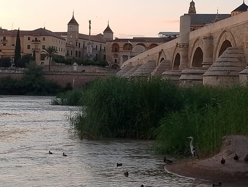 Córdoba: Tour of the three cultures to see the city in a day - Key highlights at a glance