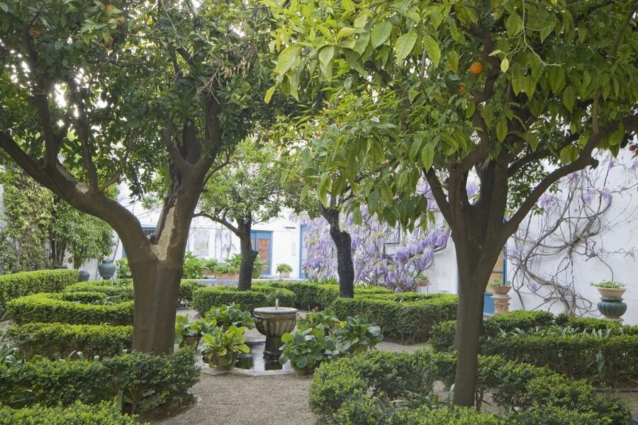 Córdoba: Viana Palace Gardens and Patios Entry Ticket - Key things to know before you go