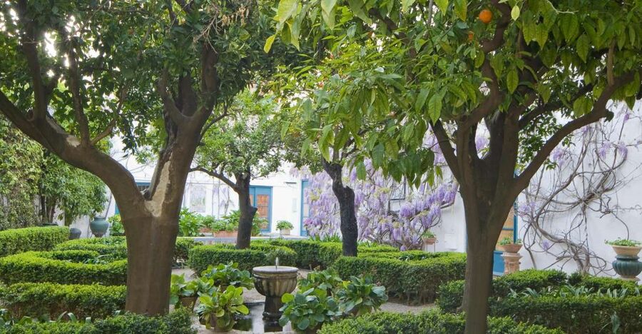 Córdoba: Viana Palace Gardens and Patios Entry Ticket - Price and value: what $10 buys (and what it doesn’t)