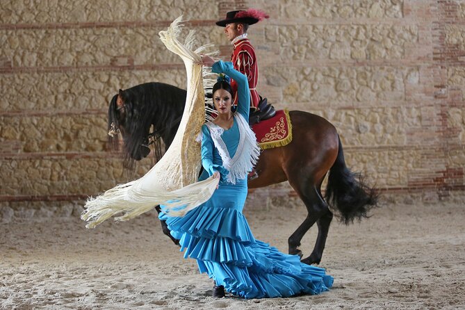 Equestrian Show Royal Stables of Córdoba - Timing and Temperature: Why Night Shows Need a War Plan
