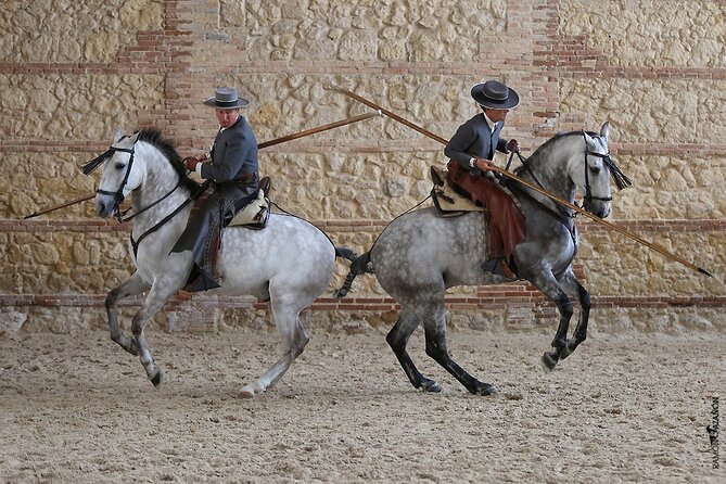 Equestrian Show Royal Stables of Córdoba - Tickets, Lines, and How to Arrive Smoothly
