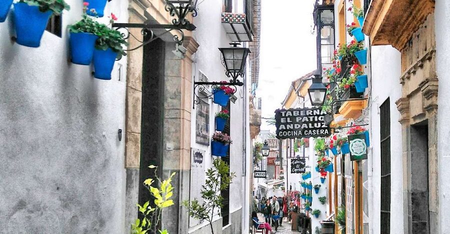 From Costa del Sol: Day Trip to Cordoba Free Time - Key Highlights You’ll Actually Care About