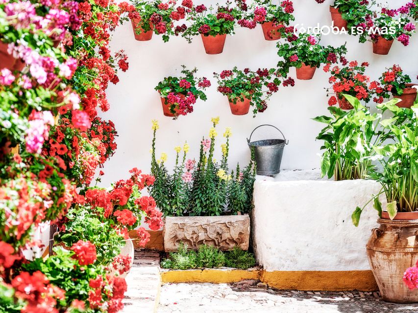 From Costa del Sol: Day Trip to Cordoba Free Time - Food in Córdoba: What to Try When You’re Eating on Your Own