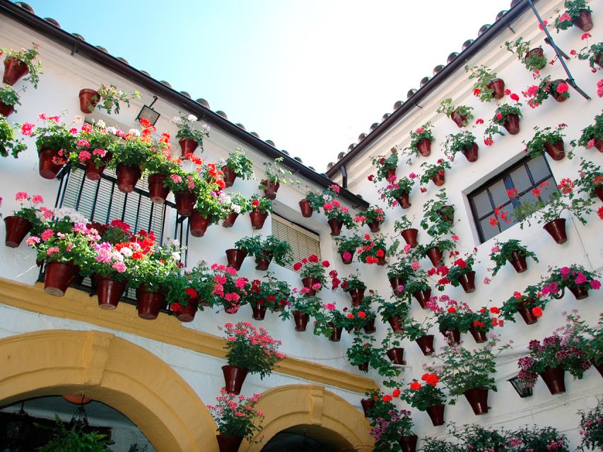 From Costa del Sol: Day Trip to Cordoba Free Time - Córdoba at Your Own Pace: How to Spend the 5 Hours Wisely