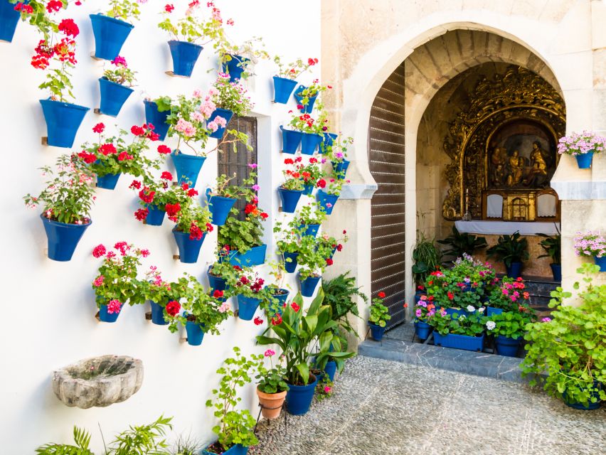 From Costa del Sol: Day Trip to Cordoba Free Time - Inside the Synagogue and the Patio de los Naranjos Courtyard Effect