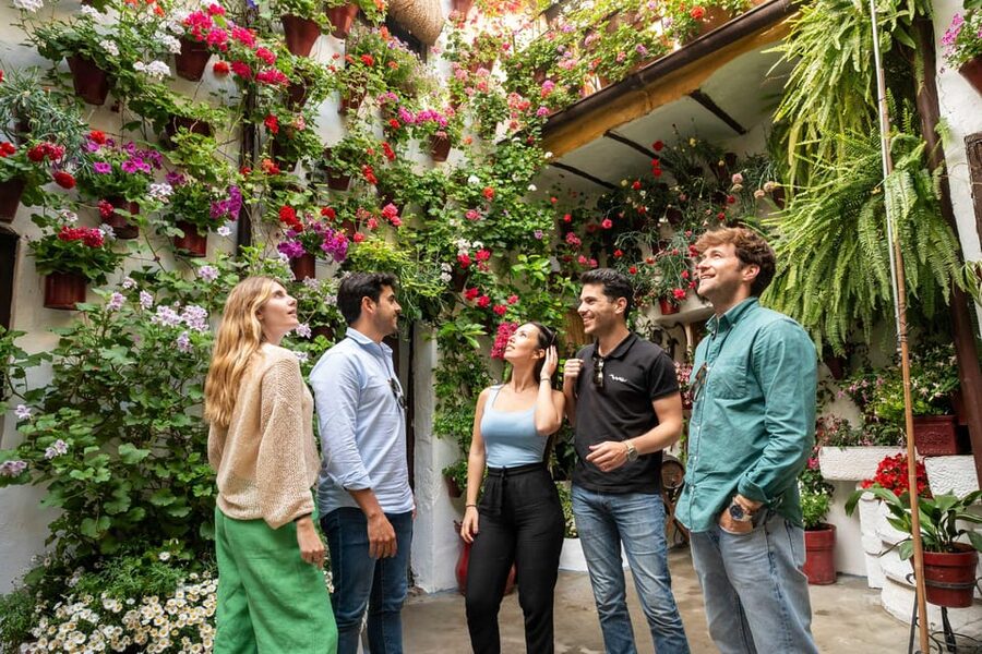 From Madrid: Córdoba Private Day Tour by High-Speed Train - Key highlights to know before you go