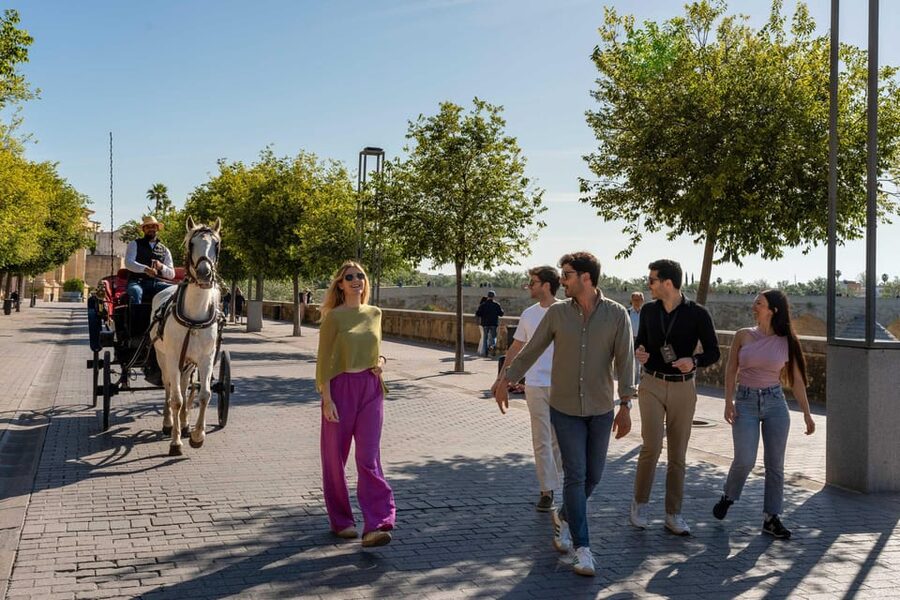 From Madrid: Córdoba Private Day Tour by High-Speed Train - Price and value: is $506 per person fair for this day?