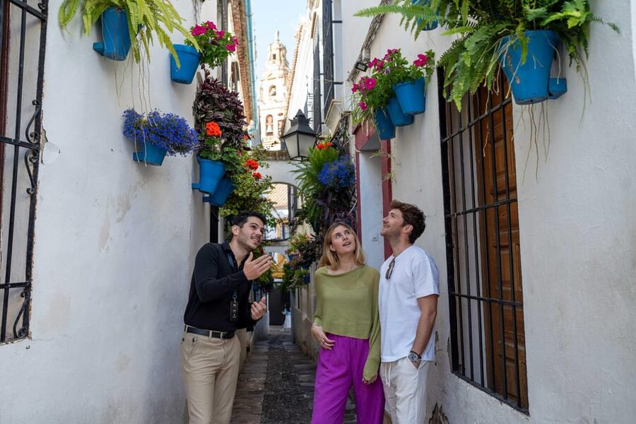 From Madrid: Córdoba Private Day Tour by High-Speed Train - Córdoba in a day: why this works