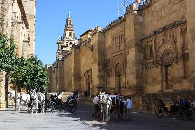 Guided tour: discover the 2 great monuments in Córdoba: Mezquita and Alcázar. - Logistics That Affect Your Comfort (More Than You Think)
