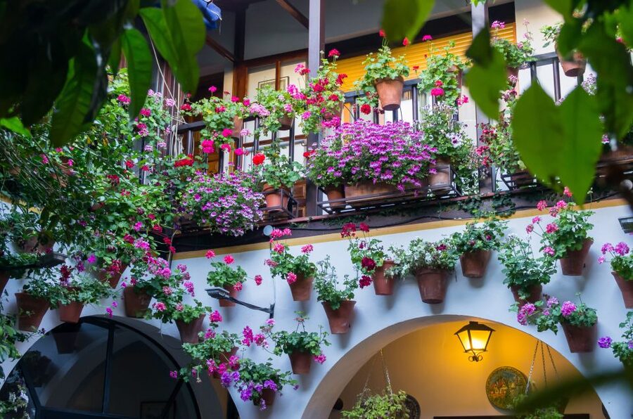 Guided tour in Spanish to the courtyards of Córdoba - How to think like a patio visitor (so it feels worth it)