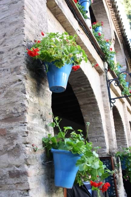 Guided tour in Spanish to the courtyards of Córdoba - What you’ll see: flowers, water, and old household objects