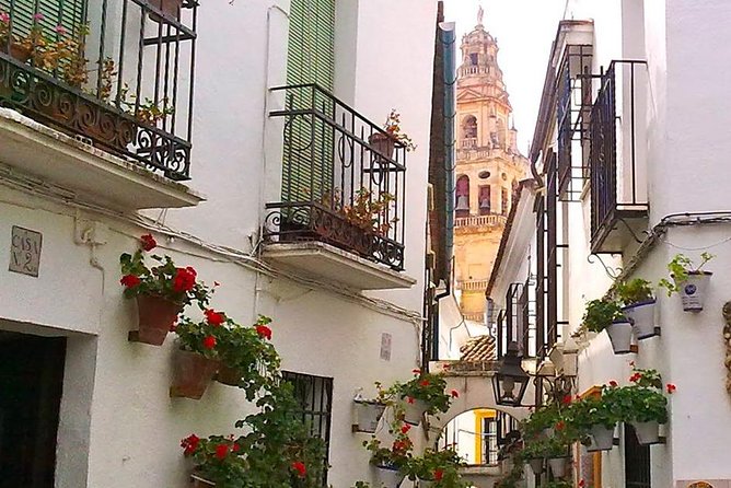 Guided Tour Jewish Quarter and Mosque-Cathedral of Córdoba with tickets - Practical Tips to Make Your Experience Smoother