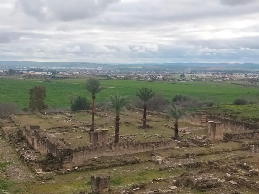 Guided tour of Medina Azahara only in french - French-only guidance: why the language choice changes the whole visit