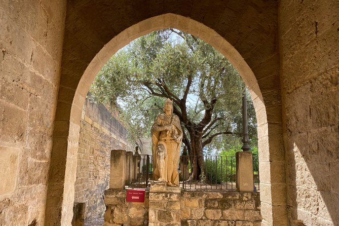 Guided tour of the Alcazar de los Reyes Cristianos in Spanish - The exterior gardens: color, aroma, and light (with seasonal payoff)