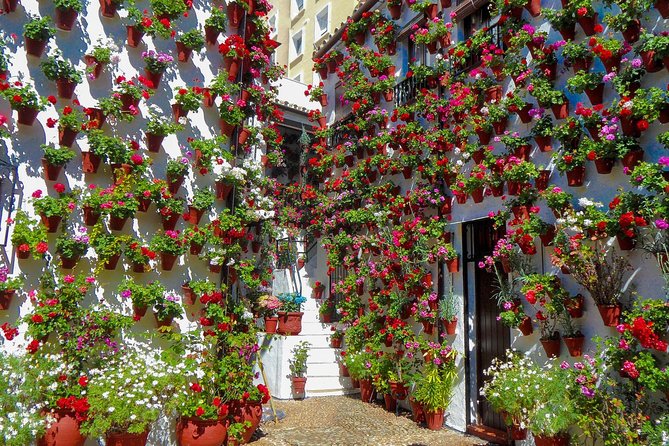Guided Tour to the Popular Patios of Cordoba - Key points to know before you go