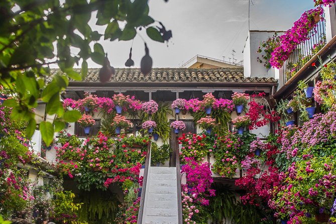 Guided Tour to the Popular Patios of Cordoba - Why Cordoba patios feel like living culture, not staged décor