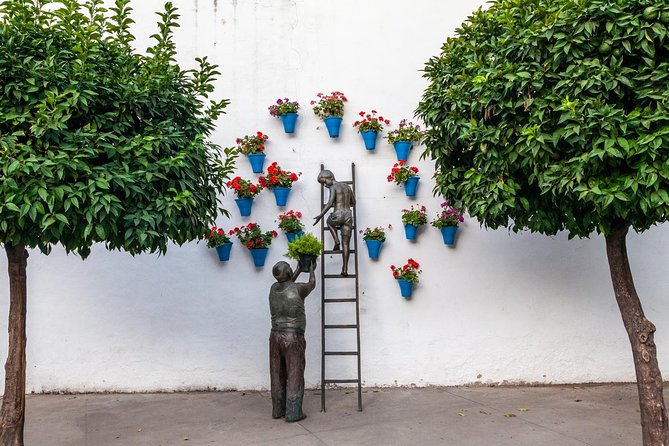 Guided Tour to the Popular Patios of Cordoba - Getting there smoothly: meeting at Calle Caballerizas Reales