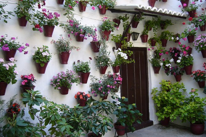 Guided Tour to the Popular Patios of Cordoba - What makes each stop special: patios with people, not just plants
