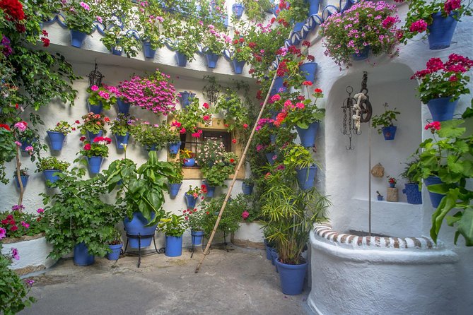 Guided Tour to the Popular Patios of Cordoba - The tour’s value: $18.10 for a guided ticketed courtyard route