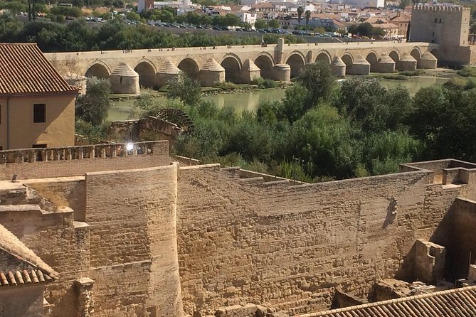 Guided visit to the Mosque-Cathedral, Jewish Quarter, Alcazar and Synagogue. Official guide - Who should book this tour (and who might want a different plan)