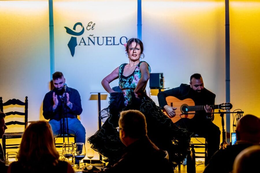 Live flamenco + tasting - Inside the one-hour show: singer, guitarist, and two dancers