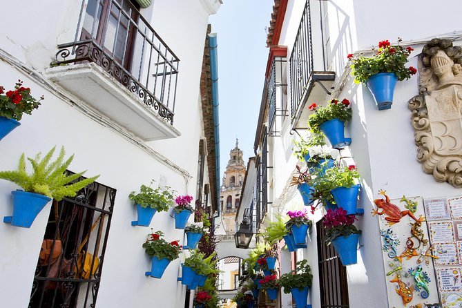 Mosque-Cathedral, Alcazar & Synagogue with Skip the Line Tickets - Centro Histórico stop: a little breathing room, not a filler