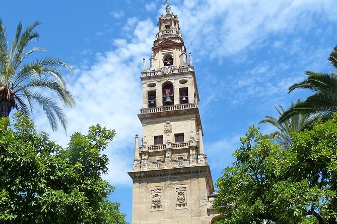 Mosque-Cathedral Cordoba Guided Tour with Priority Access - Timing and group size: 25 people is small enough to feel personal