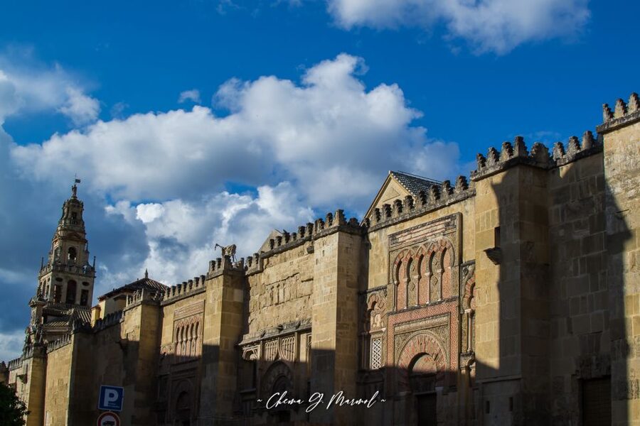 Mosque-Cathedral of Cordoba: Entry Ticket and Guided Tour - Meeting in front of the Palace of Congresses and spotting your guide