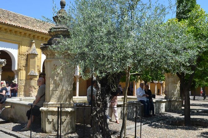 Mosque of Cordoba History Tour in English Tickets included - Skip-the-line entry and audio receivers: practical help that shows