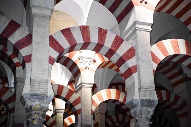 Mosque of Cordoba Private Tour in English Ticket included - Meeting at the Olive Tree: Finding the Start Spot Without Headaches