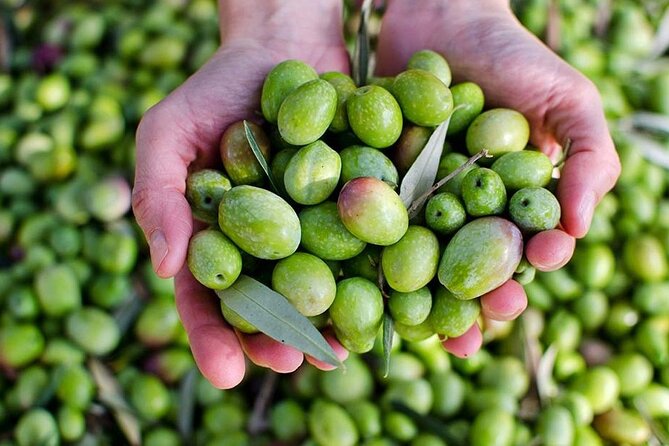 Olive Oil tasting breakfast & Tour in Cordoba - Mercado de la Corredera: where olives become a real story