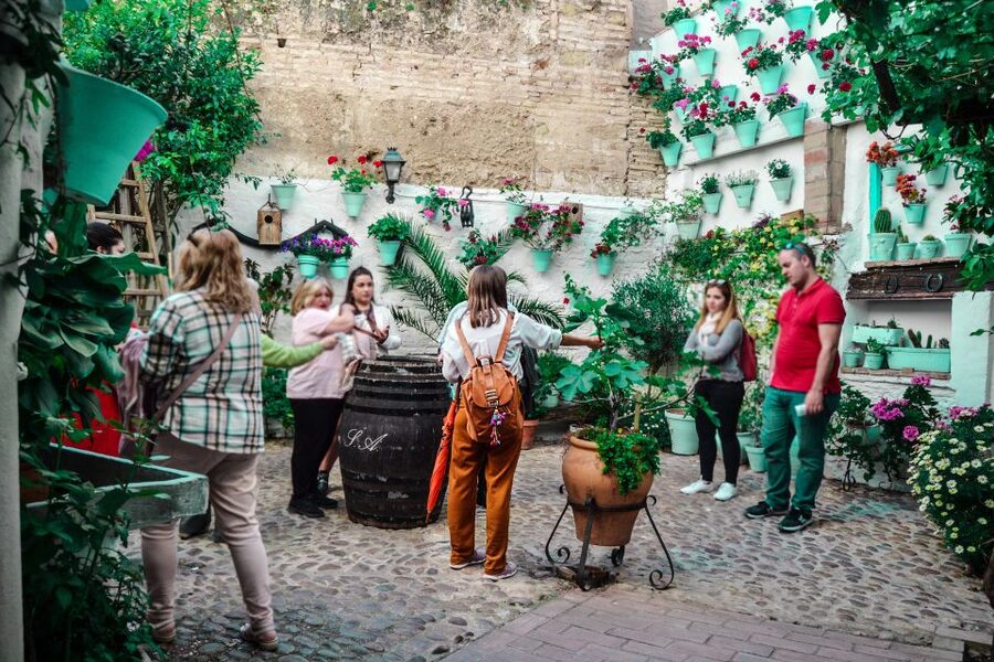Patios of Cordoba Walking Tour - Key highlights you’ll actually notice