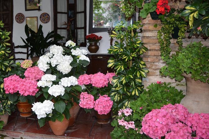 Patios & Perfums of Cordoba Festival Tour - Key highlights at a glance
