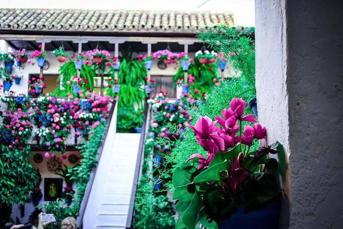 Patios tour in Cordoba - San Basilio House-to-House Patios and the May Festival Connection