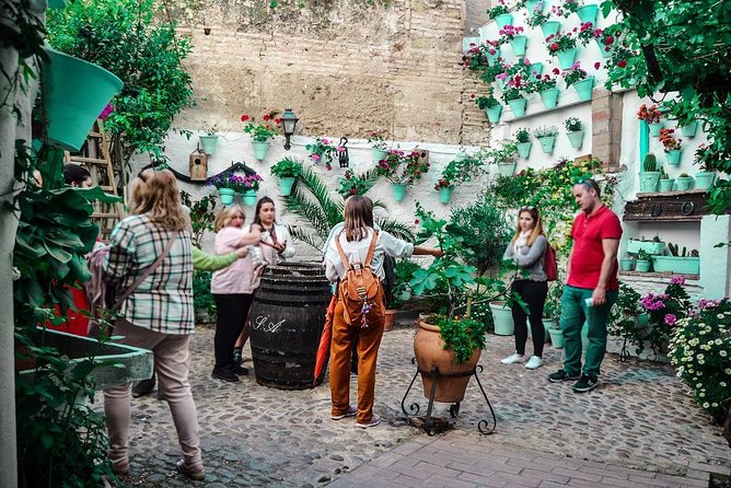 Patios tour in Cordoba - How the Guided Pace Works (and Why the Meeting Point Matters)
