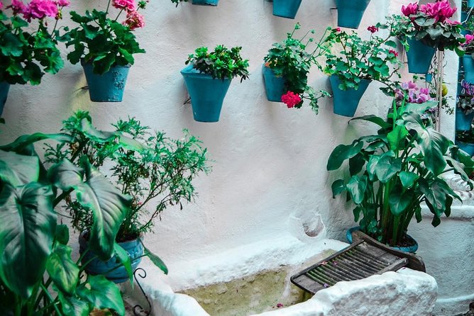 Patios tour in Cordoba - Who This Patios Tour Fits Best
