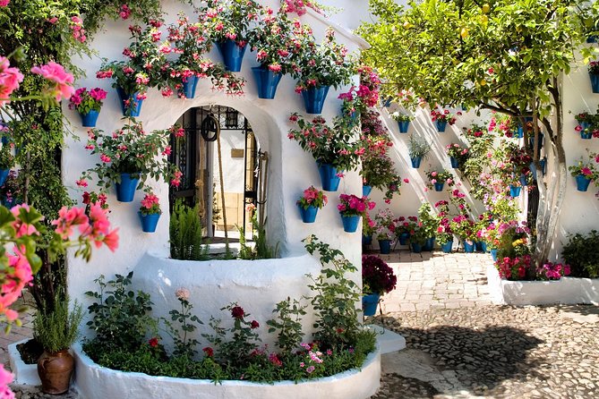 Patios tour in Cordoba - The Highlights You’ll Notice Along the Way: Tower and Patio Sculpture